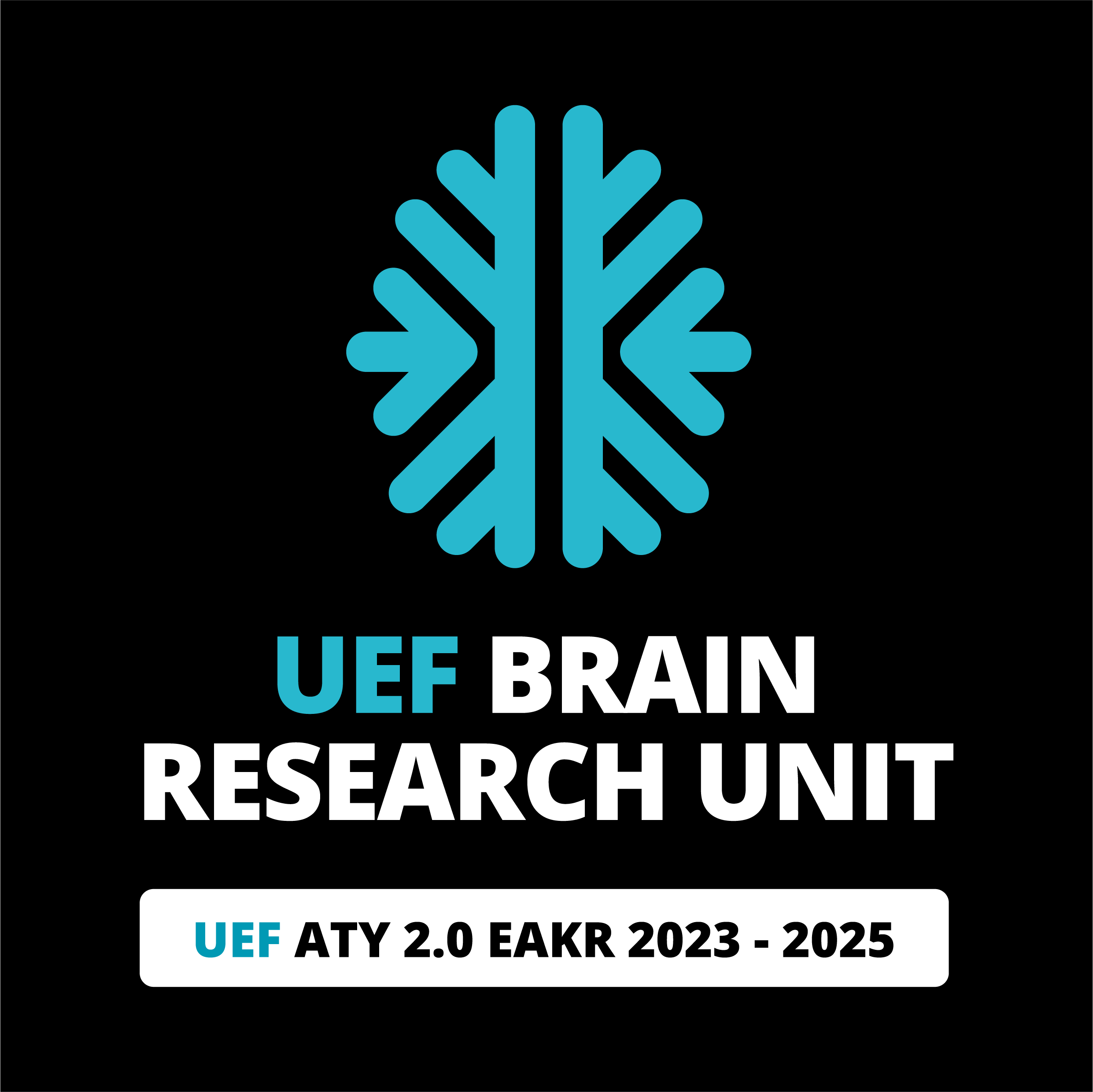 UEF Brain Unit