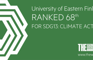 Logo Times Higher Education Impact Ranking