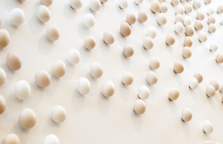 Kappelin seinäkoriste.