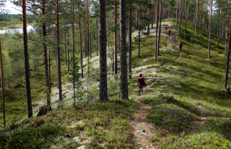 Retkeilijät kulkevat polkua pitkin harjulla.