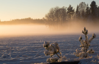 Talvinen maaseutu. Kuva Mostphotos.