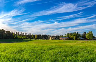 Peltoa ja maatilan pihapiiri.