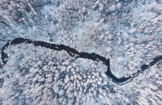 Ilmakuva talvisen metsän halki virtaavasta joesta.