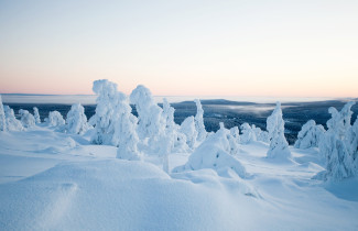 Talvinen maisema Suomen Lapista.