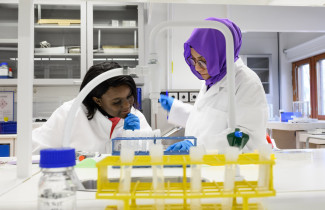 Kaksi opiskelijaa tekemässä laboratorioharjoituksia.