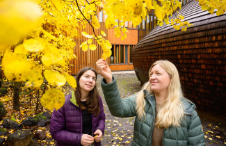 Kerttu Matinpuro ja Hanna Laako katselemassa syksyistä haapaa.