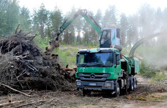 Metsä.