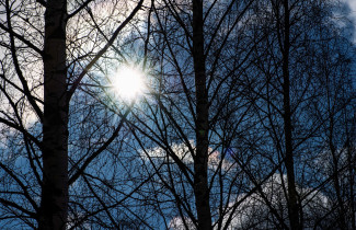 Aurinko.