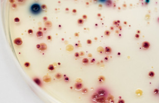 Tutkimusryhmän kuva: Vesihygienia