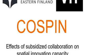 Research group picture: Effects of subsidized collaboration on spatial innovation capacity (COSPIN)