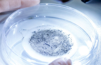 Tutkimusryhmän kuva: Mikromuovien analyysin ja poistomenetelmien kehittäminen teollisuuden laadunvalvontaan (MAP-hanke)