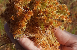 Tutkimusryhmän kuva: Suotrendi-tutkimushanke