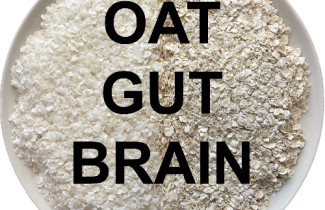Tutkimusryhmän kuva: Oat-Gut-Brain-tutkimus