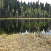 Profiilikuva: Outi Soininen
