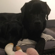 Profile picture: Mari Rantakare