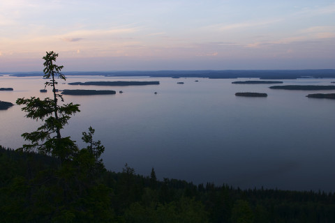 A view from the top of the Koli.