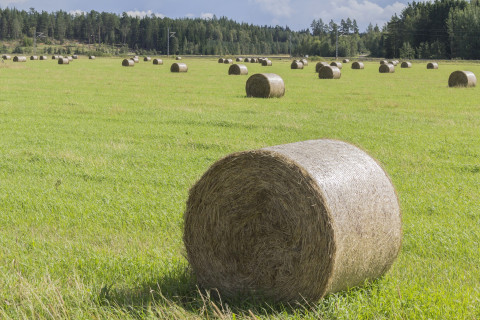 Pyöröpaaleja pellolla