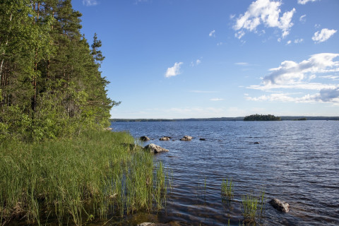 Järvimaisema Saimaalla