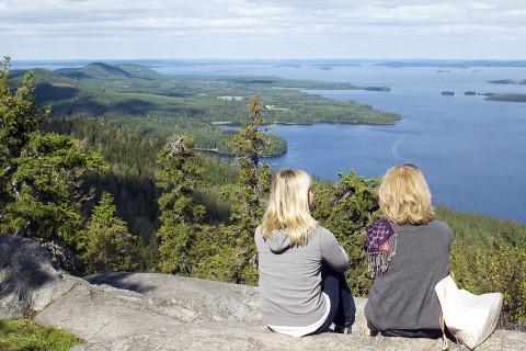 At the top of Koli.