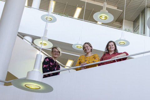 Henkilökuntaa Joensuun kampuskirjaston rappusissa.