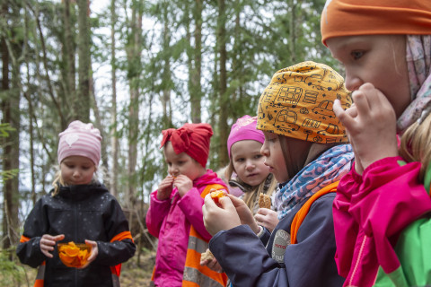 Päiväkotilapset syömässä retkieväitä.