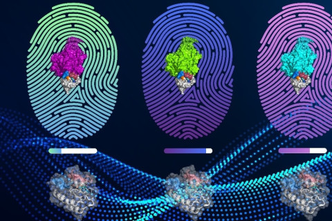 Three colourful finger prints