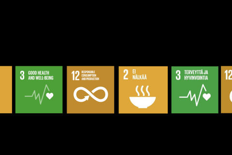 SDGs 2 and 3 and 12 as symbols.