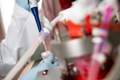 Koronarokotteen kehitystyötä laboratoriossa