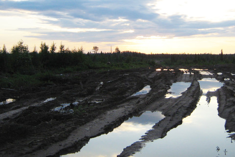 Metsähakkuiden jälkiä maastossa Venäjällä.