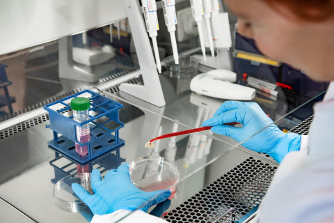 Stem cell lab.