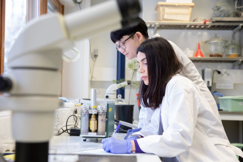 Kaksi tutkijaa työskentelee yhdessä laboratoriossa.