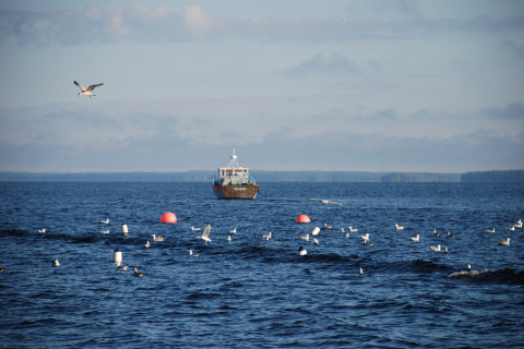 Vene järvellä. Kuva Pekka Hyvärinen.