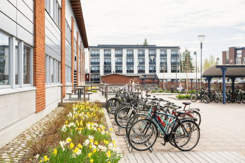 Polkupyöriä koulun pihalla.