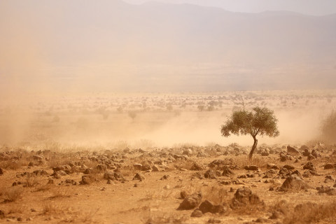 Dusty plains during a drought in Kenya.