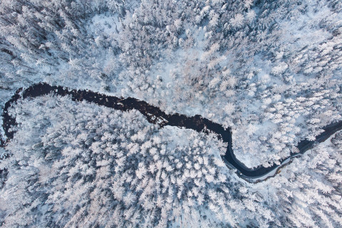 Ilmakuva talvisen metsän halki virtaavasta joesta.