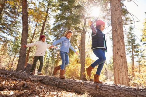 Children balancing on a fallen tree trunk.