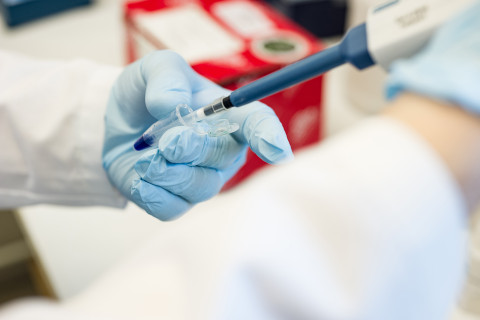 Laboratoriotyöskentelyä.