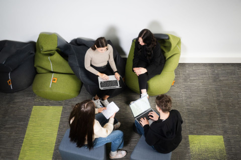 Students doing group assignments.