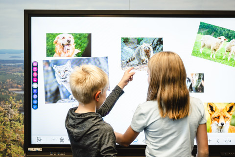 Pakopelipedagogiikan blogi.