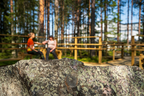 Kajaanin terveysmetsä. Kuva Jari Lindeman, Luke.