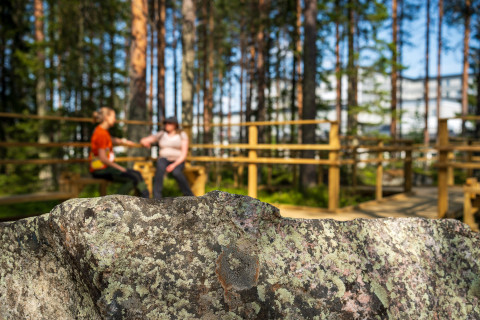 Kajaanin terveysmetsä. Kuva Jari Lindeman, Luke. 