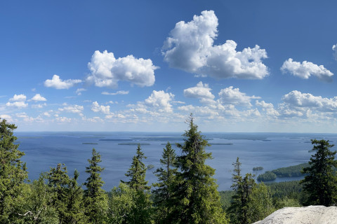 Kesäinen maisema Kolilta Pieliselle