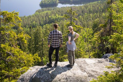 Forestry students at the top of Koli.