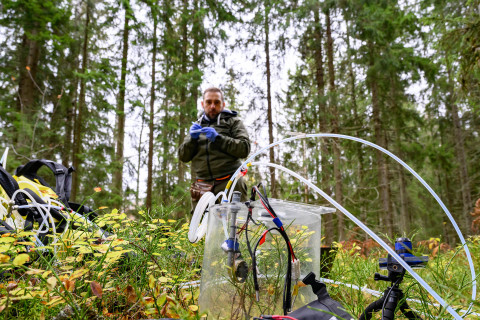 Tutkimuslaitteita metsässä.