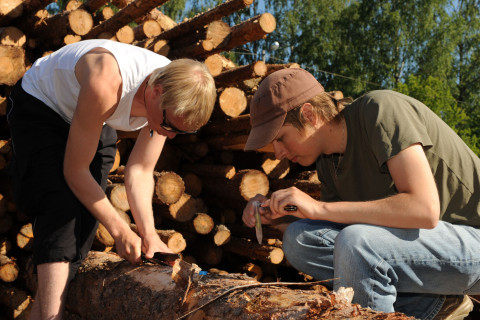 Henkilöt tutkii tukkeja. 