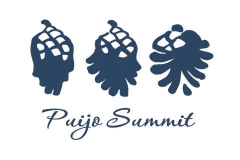 Puijo Summit tapahtuman tunnus