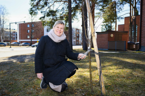 Sari Havu-Nuutinen Fulbright-puun luona Educan edessä.