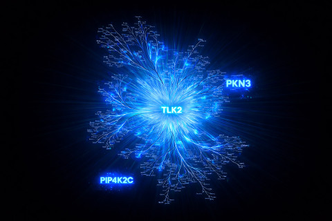 Kinome tree. Illustration Christopher Asquith.