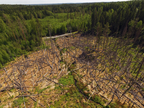 Beavers dry living area.