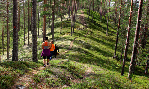 Retkeilijät kulkevat polkua pitkin harjulla.